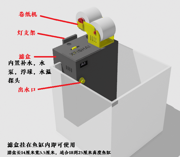 外观